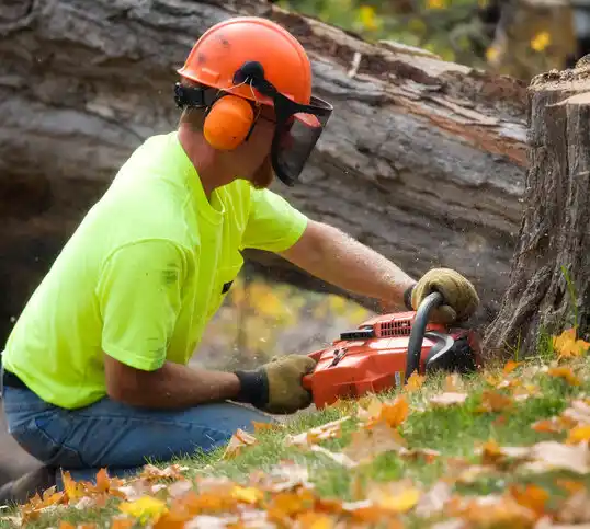 tree services Green Knoll